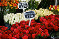 Bloemenmarkt Roses.jpg