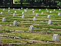 Soviet War Cemetery Warsaw 08.jpg