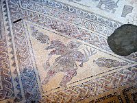 Detail of mosaic from Chedworth.JPG
