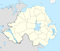 Бэллимани (Северная Ирландия)