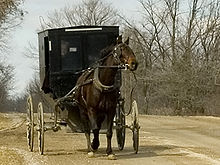Mennonite and carriage publ.jpg
