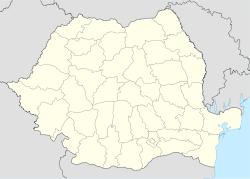 Тыргу-Муреш (Румыния)