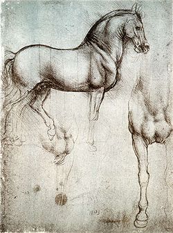 Study of horse.jpg
