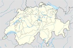 Нойхаузен-ам-Райнфалль (Швейцария)