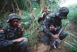 Guana Defense Forces.JPEG