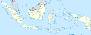 Амунтай (Индонезия)