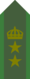 SWE-Army-OF4.png
