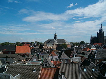 Panorama 's-Hertogenbosch.jpg
