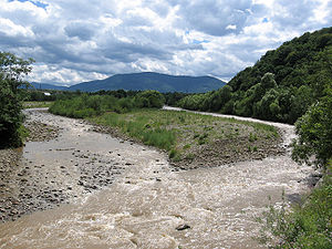 Река Свича в Долинском районе Ивано-Франковской области